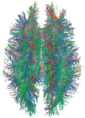 AlphaGenome Atlas Mapping 9 Billion Non-Coding Variants