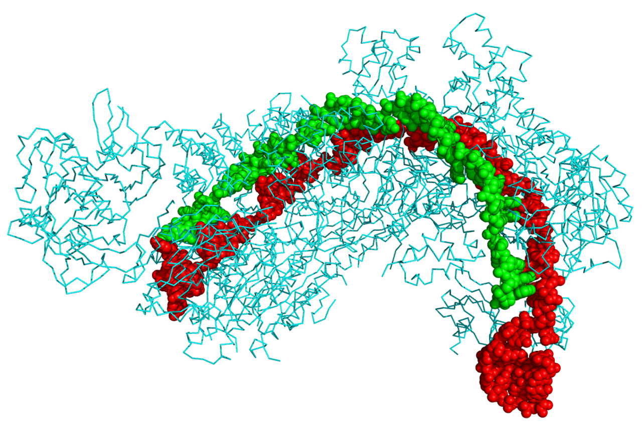 CRISPR-Cas Enzymatic Gene Editing Targets in Oncology