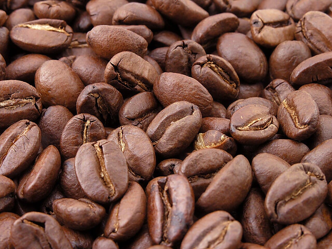 Global Coffee Market Shift: Sustainable Supply Chains & Specialty Bean Trends