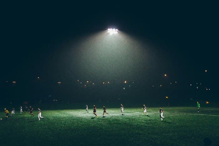 Équipe de France de Football : Modèle de Clairefontaine, Richesse de l'Effectif et Hégémonie Internationale des Bleus