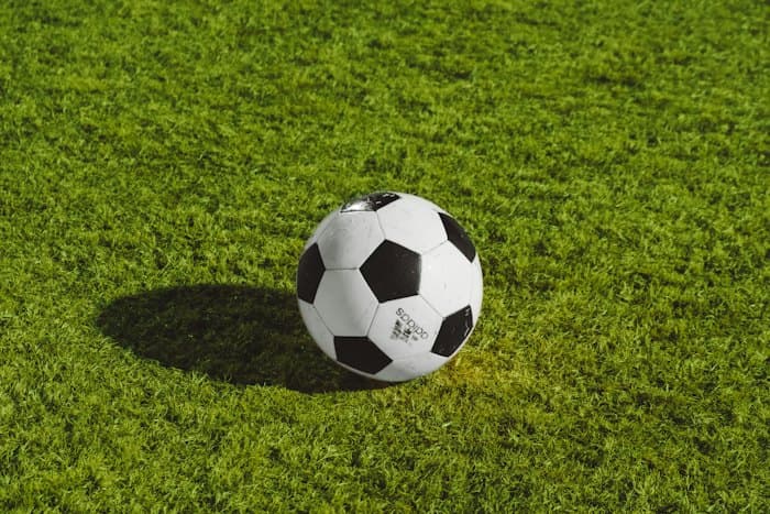 Équipe de Suisse de Football : Structure Tactique de la Nati, Continuité et Performances sur la Scène Européenne