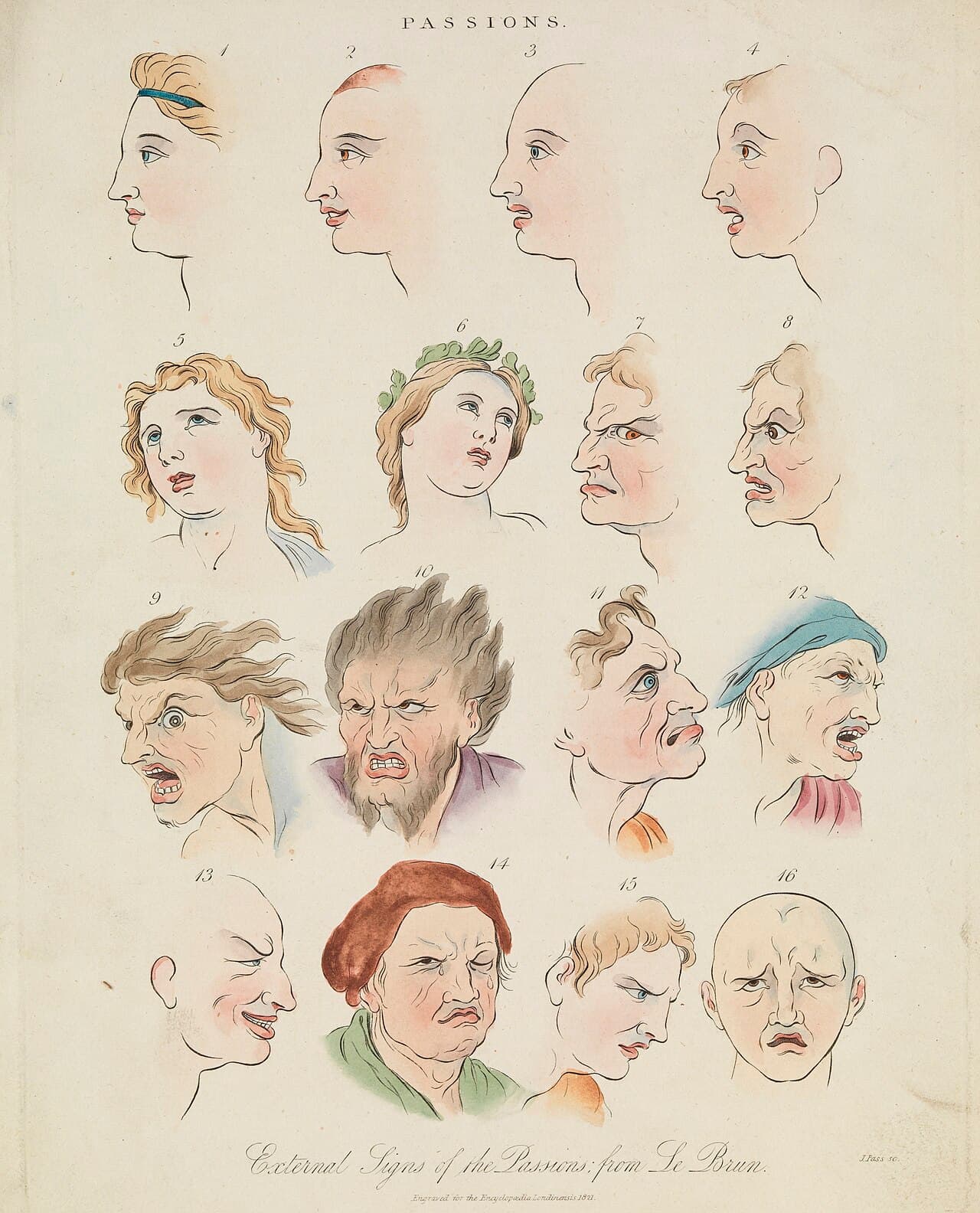The Neurobiology of Emotional Expression: The Physiological and Psychological Science of Crying (Menangis)